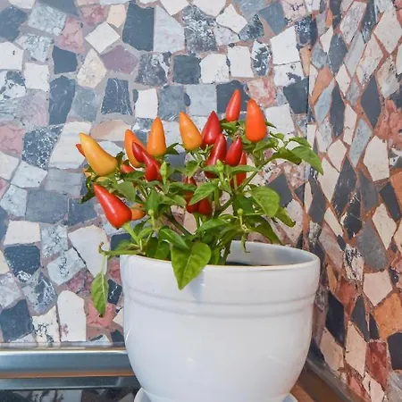 Апартамент Cosy & Renovated 2bd Flat Near Vitoshka By Flat Mаnager
